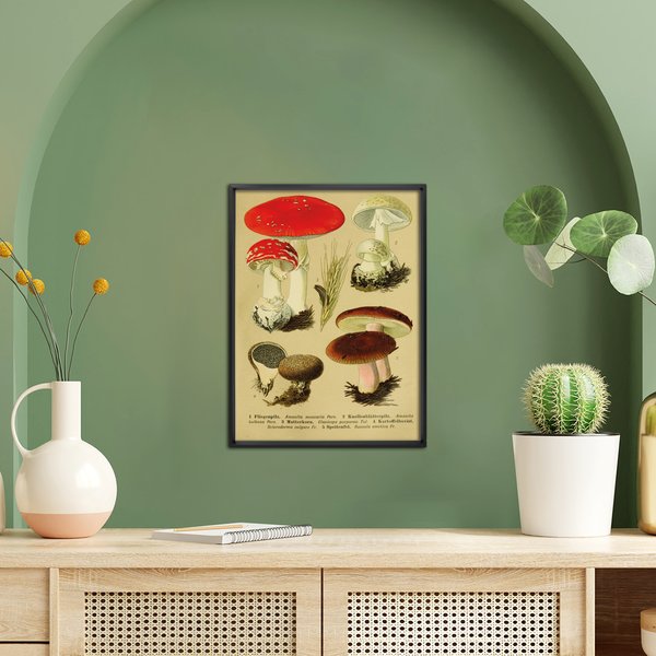 Vintage Lehrposter Kunstdruck