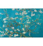 Vincent Van Gogh Poster