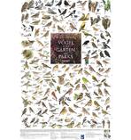 Vögel aus den Gärten und