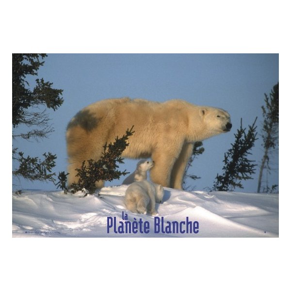 White Planet