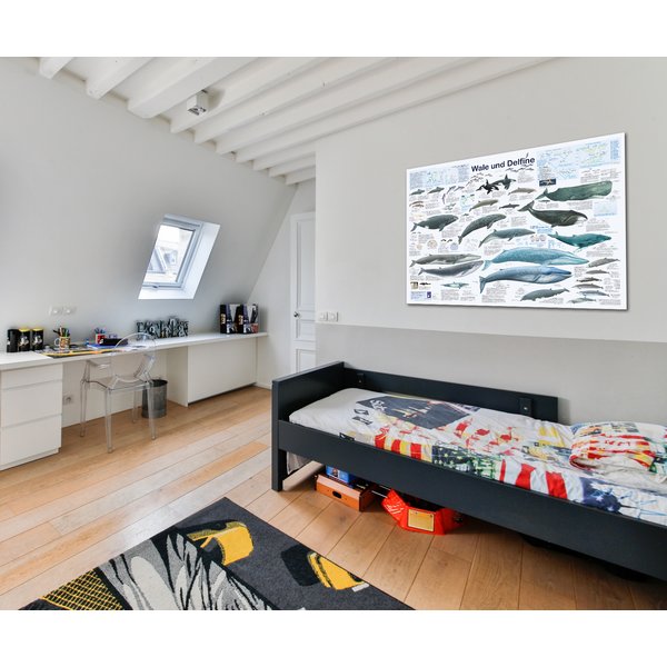 Wale und Delfine Poster