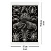 Zehnfu&szlig;krebse Poster Haeckel