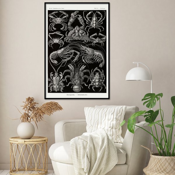 Zehnfu&szlig;krebse Poster Haeckel